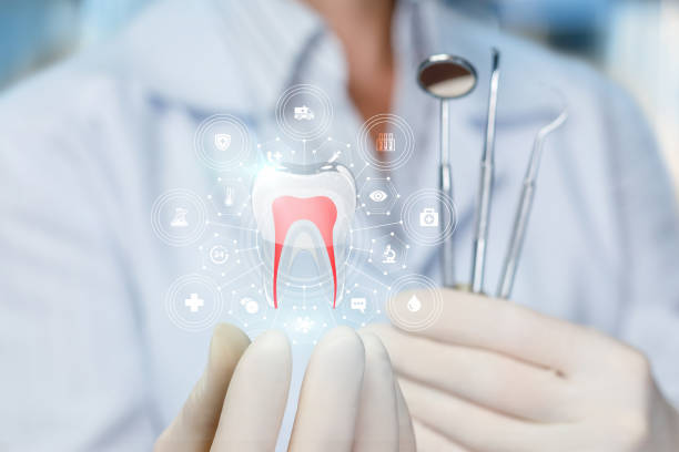 Best Dental Exams and Cleanings  in Bottineau, ND
