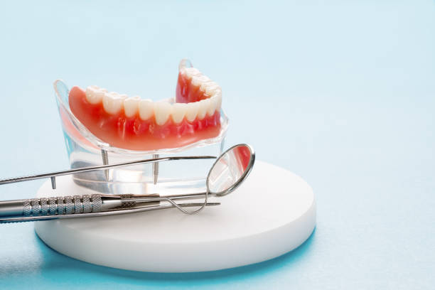 Best Emergency Dental Care  in Bottineau, ND
