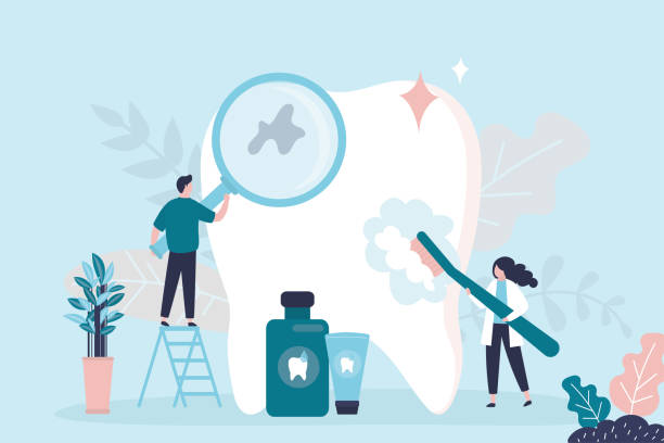 Best Dental Exams and Cleanings  in Bottineau, ND